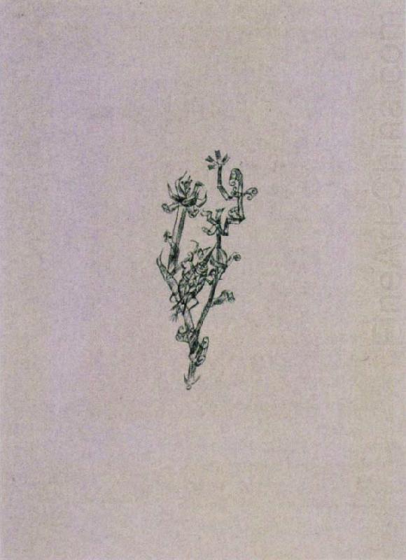 Giant aphid, Paul Klee
